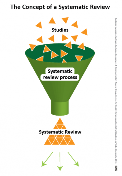 Graphic illustration of the systematic review process